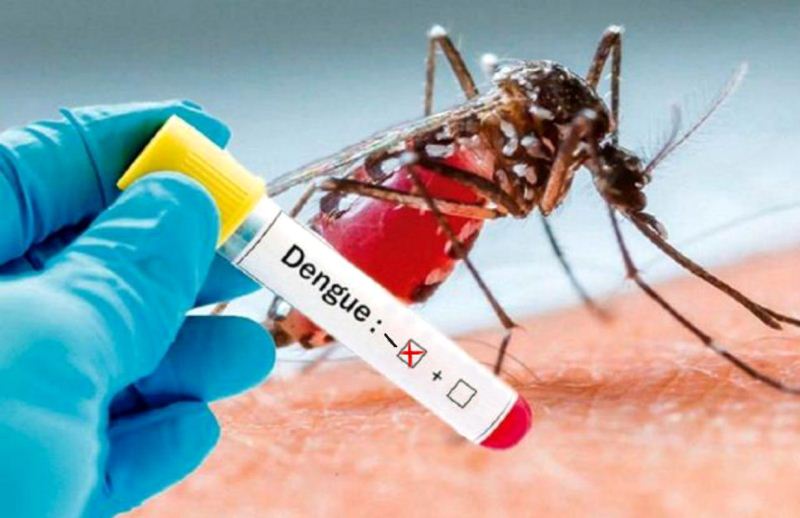 Advierten que el 90% de los casos de dengue están en villas porteñas