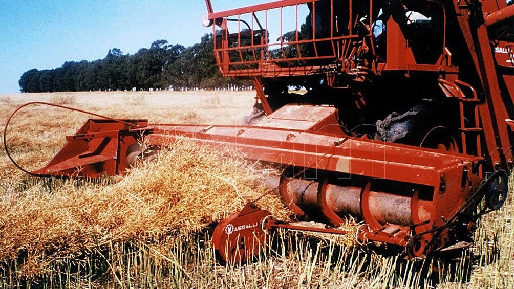 Prevén una producción récord de maíz y una cosecha total de 120,8 millones de toneladas