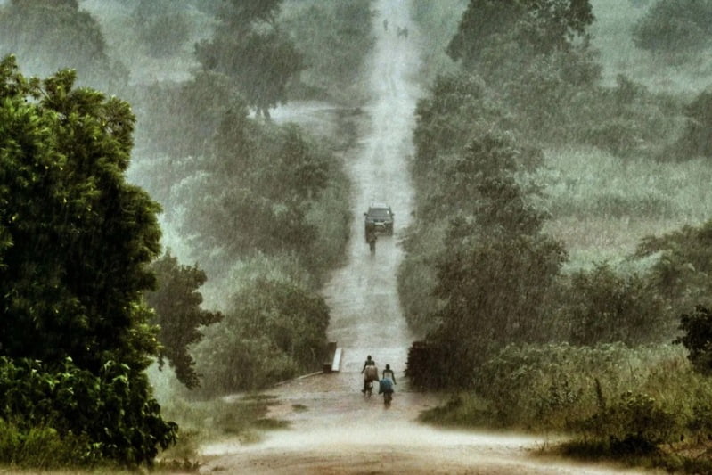 Cómo los desechos humanos pueden proteger los bosques de Malawi