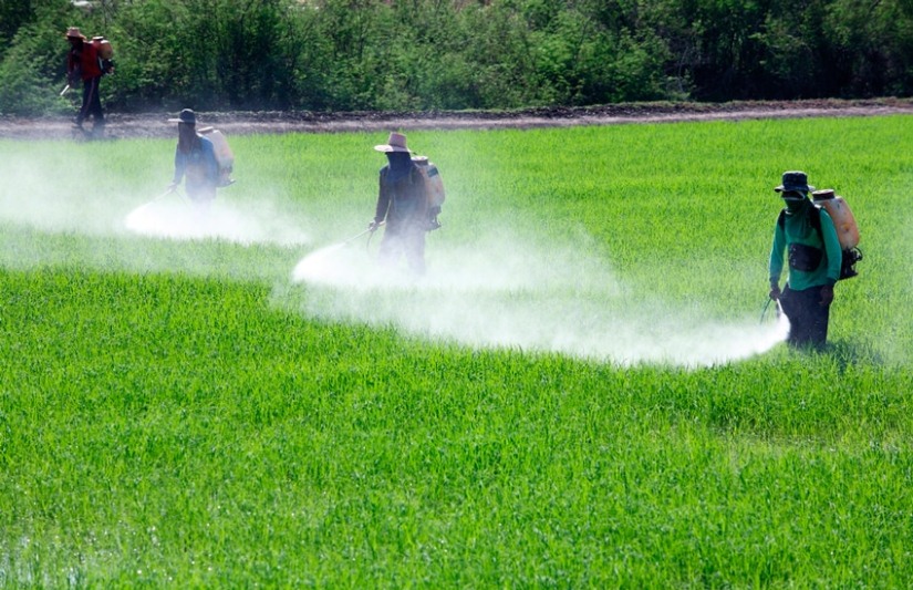 Buscan prevenir el efecto de los agrotóxicos en la salud infantil