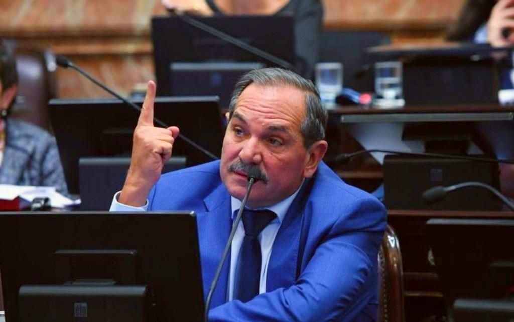 “En el caso Alperovich son fundamentales los peritajes psicológicos”