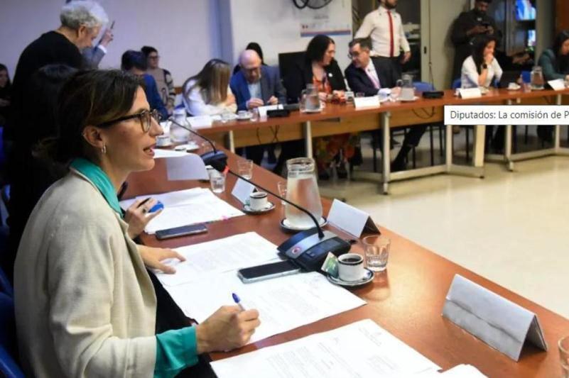 Diputados: La Comisión de Población y Desarrollo Humano aprobó una batería de proyectos