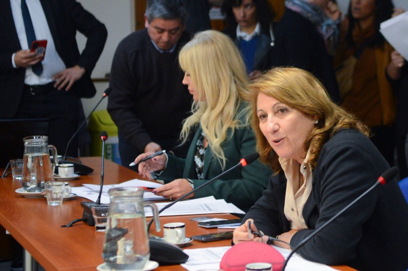 Diputados: Acción Social y Salud Pública abordó el convenio marco para el control del tabaco