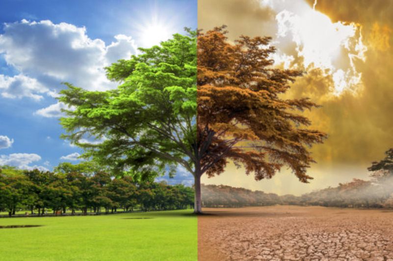 Anuncian inversión de US$ 15.000 millones contra el cambio climático hasta 2030