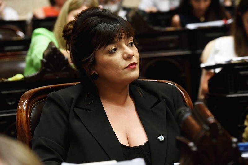 «La ley ómnibus es la entrega de nuestra soberanía»