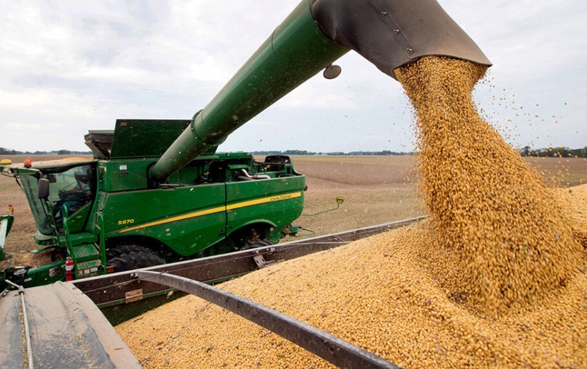 Menos soja, más maíz: el cambio de estrategia que marca la nueva campaña agrícola