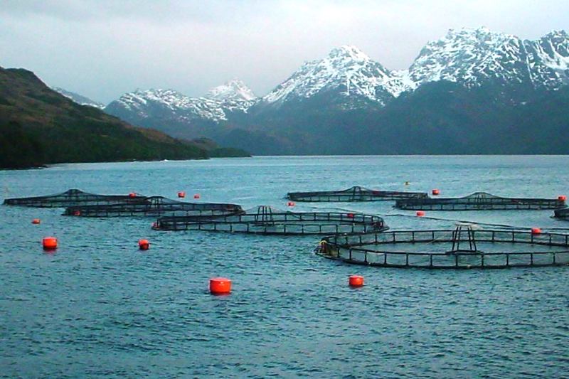 Tierra del Fuego aprobó la Ley de Acuicultura Sostenible y redefine su desarrollo productivo