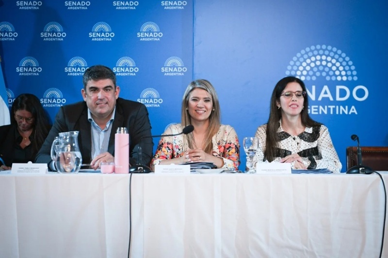 Salud Mental: el Gobierno impulsa internaciones involuntarias