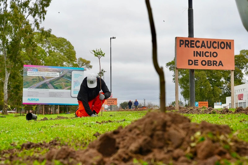 CEAMSE aportó árboles nativos para ampliar el plan de forestación de AUBASA