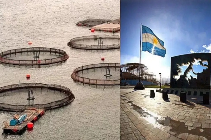 Reclaman un referéndum en Malvinas para decidir sobre la instalación de salmoneras